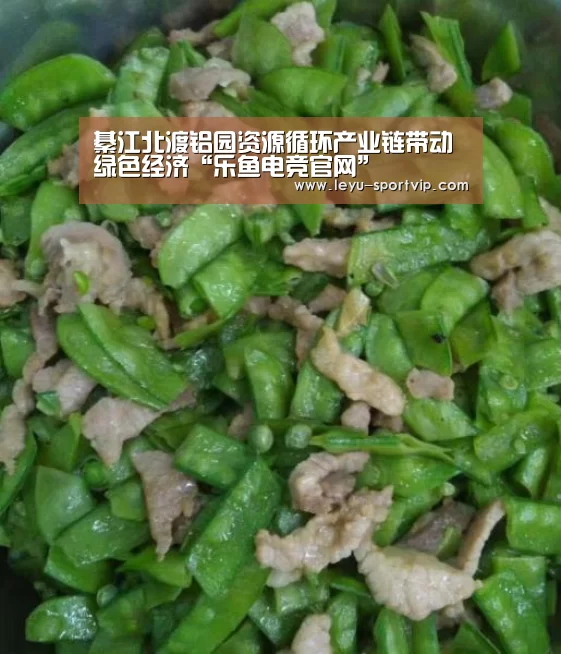 乐鱼体育APP