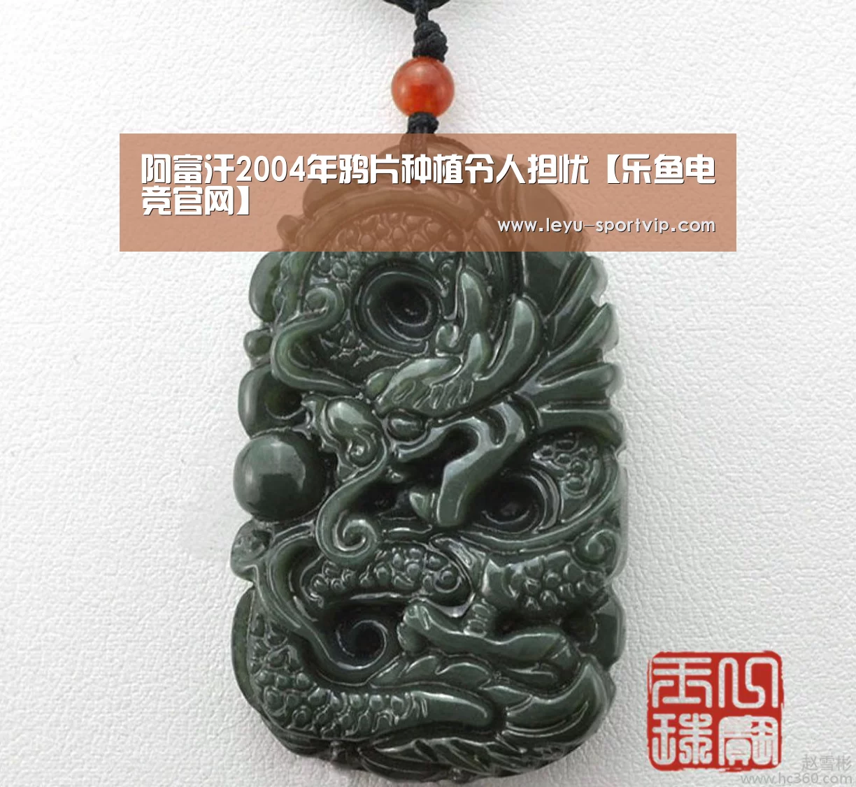 阿富汗2004年鸦片种植令人担忧【乐鱼电竞官网】(图1) 乐鱼最新地址