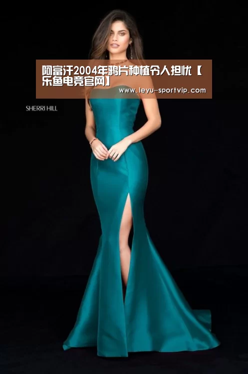 阿富汗2004年鸦片种植令人担忧【乐鱼电竞官网】(图2) 乐鱼电竞官网