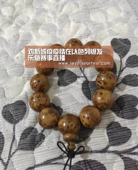 乐鱼电竞官网