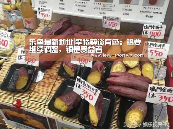 乐鱼最新地址|李稻葵谈有色:铝要继续调整,铜是受益者(图1) 乐鱼电竞官网