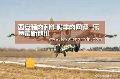 乐鱼最新地址