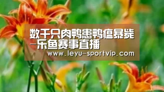 乐鱼最新地址